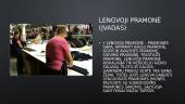 Lengvoji pramonė (tekstilė, rūbų gamyba, avalynės gamyba) 2 puslapis