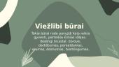Citatų koliažas apie ,,Metų'' veikėjus 2 puslapis