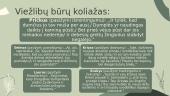 Citatų koliažas apie ,,Metų'' veikėjus 3 puslapis