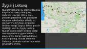 Kryžiaus žygiai ir Lietuva 4 puslapis