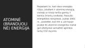 Atominių elektrinių poveikis aplinkai (skaidrės) 4 puslapis