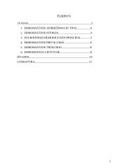 Pagrindiniai demokratijos principai 2 puslapis