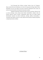 Pagrindiniai demokratijos principai 10 puslapis