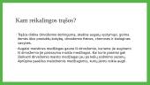 Trąšos 2 puslapis