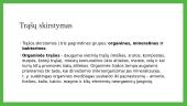 Trąšos 3 puslapis