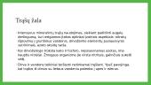 Trąšos 8 puslapis