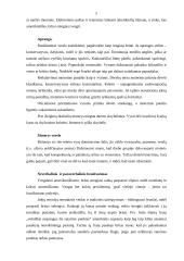 Derybos su britais 3 puslapis