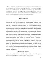 Regos fizika    11 puslapis