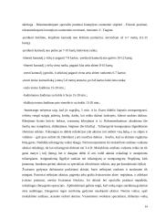 Regos fizika    13 puslapis