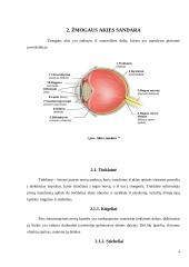 Regos fizika    3 puslapis