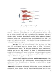 Regos fizika    7 puslapis