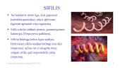 Lytiškai plintančios ligos (skaidrės) 7 puslapis