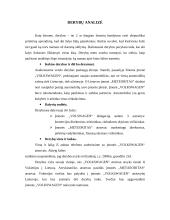 Derybų menas: derybos dėl automobilių pirkimo įmonės plėtrai 2 puslapis