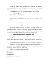 Derybų menas: derybos dėl automobilių pirkimo įmonės plėtrai 3 puslapis