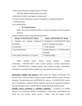 Derybų menas: derybos dėl automobilių pirkimo įmonės plėtrai 4 puslapis