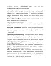 Derybų menas: derybos dėl automobilių pirkimo įmonės plėtrai 6 puslapis