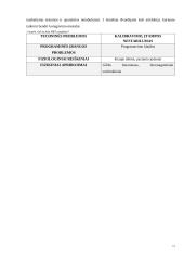 Artefaktai, jų rūšys, įtaka vaizdo formavimui ir diagnostikai 11 puslapis