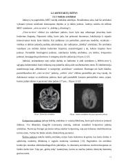 Artefaktai, jų rūšys, įtaka vaizdo formavimui ir diagnostikai 12 puslapis