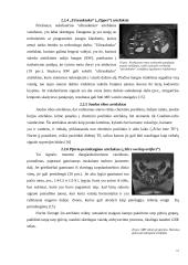 Artefaktai, jų rūšys, įtaka vaizdo formavimui ir diagnostikai 15 puslapis