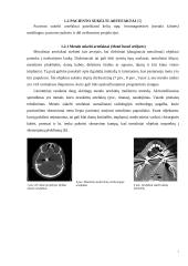 Artefaktai, jų rūšys, įtaka vaizdo formavimui ir diagnostikai 6 puslapis