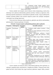 Logistikos veiklos praktika 19 puslapis