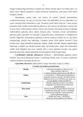 Logistikos veiklos praktika 20 puslapis