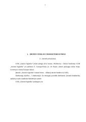 Logistikos veiklos praktika 6 puslapis