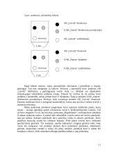 Derybų organizavimas bei jų vedimas 11 puslapis