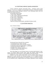 Derybų organizavimas bei jų vedimas 12 puslapis