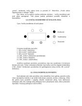 Derybų organizavimas bei jų vedimas 13 puslapis