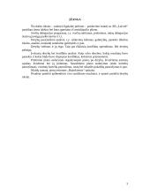 Derybų organizavimas bei jų vedimas 3 puslapis