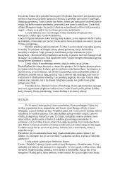 Detalus kūrinio atpasakojimas: "Altorių šešėly" 5 puslapis