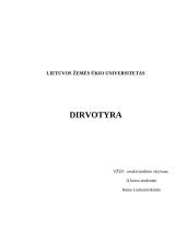Dirvotyra ir dirvodarinės uolienos 15 puslapis