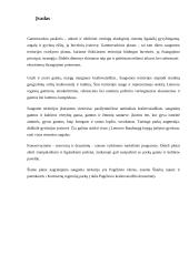 Dirvožemio ir biotos apsauga 2 puslapis