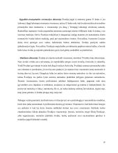 Referatas apie Švediją 13 puslapis