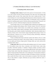 Referatas apie Švediją 14 puslapis