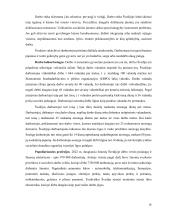 Referatas apie Švediją 15 puslapis