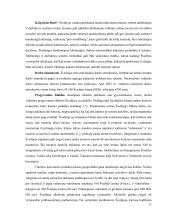 Referatas apie Švediją 16 puslapis