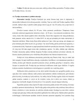 Referatas apie Švediją 4 puslapis