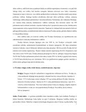 Referatas apie Švediją 6 puslapis