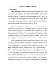 Referatas apie Švediją 8 puslapis