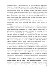 Teodicėjos problemos dostojevskio kūryboje ugdymo aspektu 17 puslapis