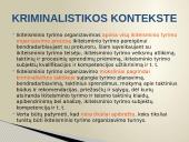 Ikiteisminio tyrimo organizavimo ir prokuroro kaip ikiteisminio tyrimo organizatoriaus santykis 8 puslapis