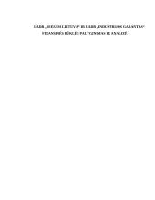 Draudimo įmonių finansinės būklės palyginimas ir analizė: UADB "SEESAM Lietuva" ir UADB "Industrijos garantas"