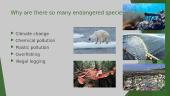 Endangered species (presentation) 3 puslapis
