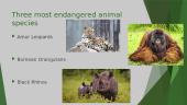 Endangered species (presentation) 4 puslapis