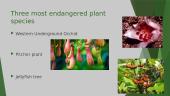 Endangered species (presentation) 5 puslapis