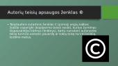 Autorių teisės - informatikos projektas 2 puslapis