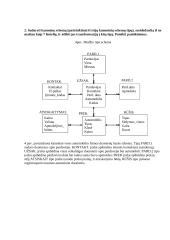 Duomenų bazių namų darbai 3 puslapis