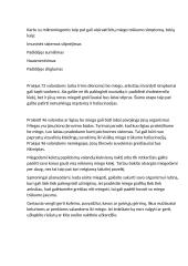 Apie miego trūkumą 2 puslapis